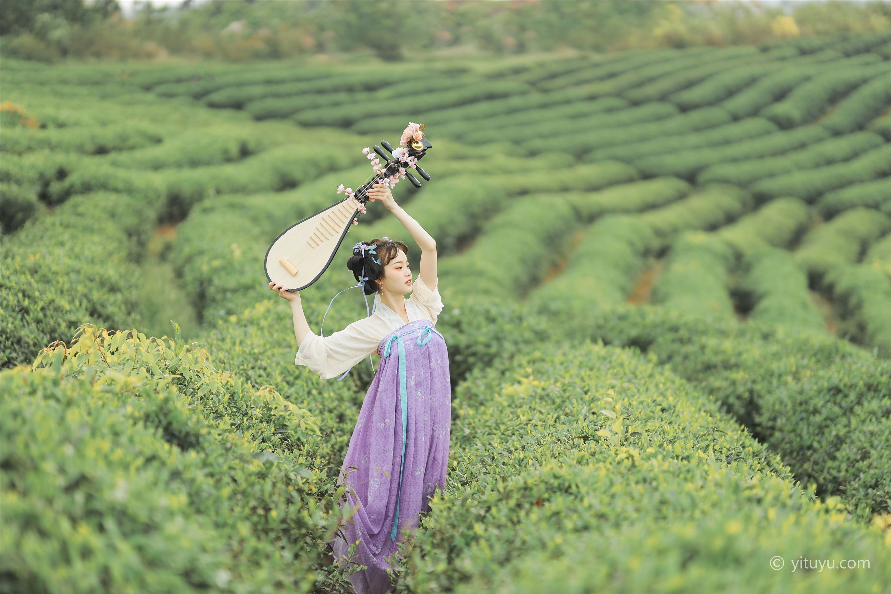 YITUYU艺图语  2021.06.02 青青白茶 柚子